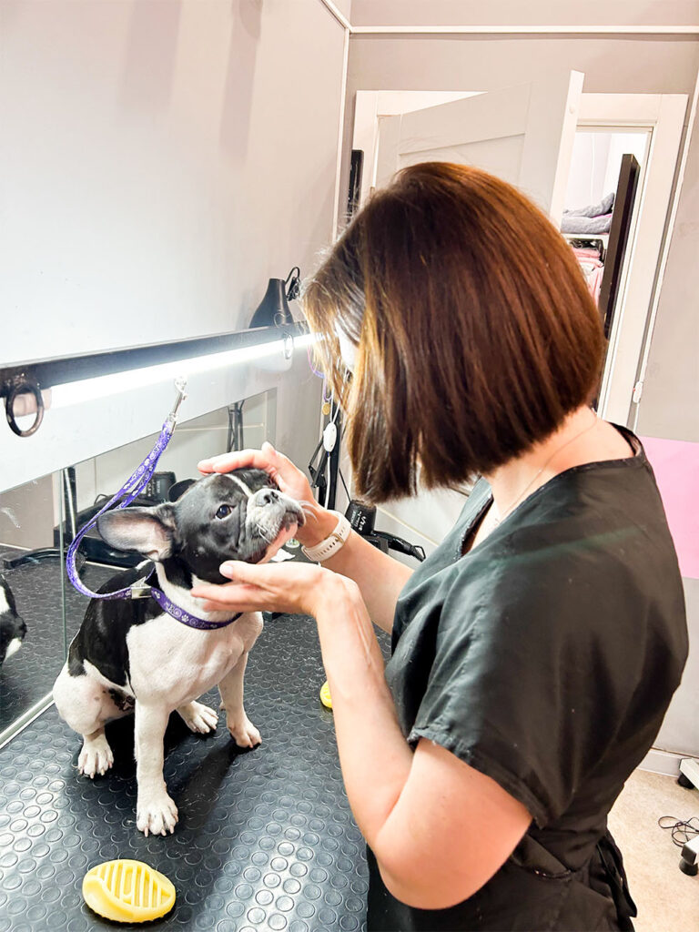 Hundesalon Wittenberg_0003_IMG_7839